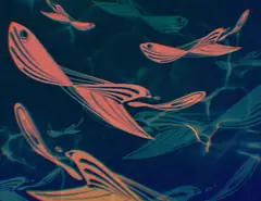 深色