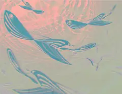 浅色